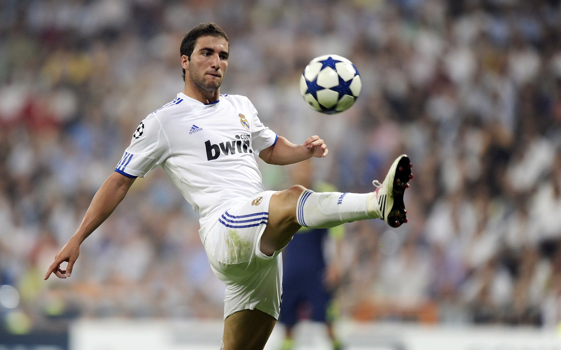 公牛队主场迎战强敌,奋勇拼搏,公牛队官方网站